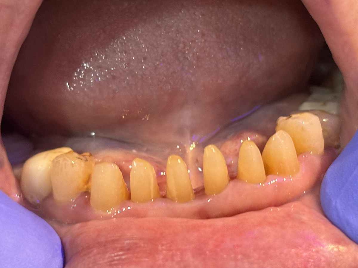 Mr. And Mrs. Dentist