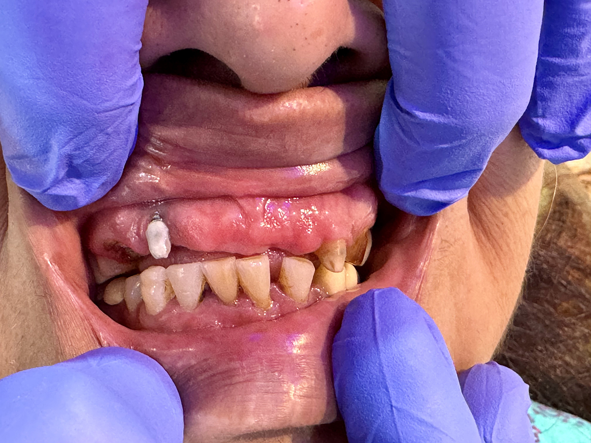 Mr. And Mrs. Dentist